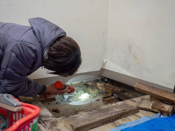 Best Mold Remediation for Healthcare Facilities  in Lexington, MI