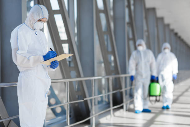Best Emergency Mold Remediation  in Lexington, MI
