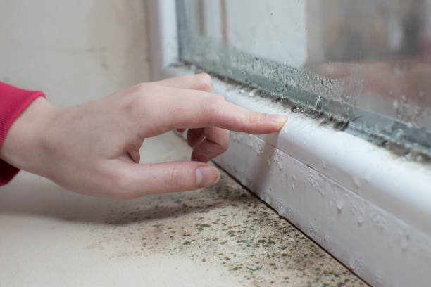Best Post-Remediation Verification Testing  in Lexington, MI