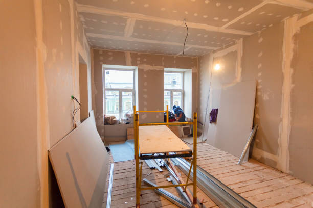 Best Industrial Mold Remediation  in Lexington, MI